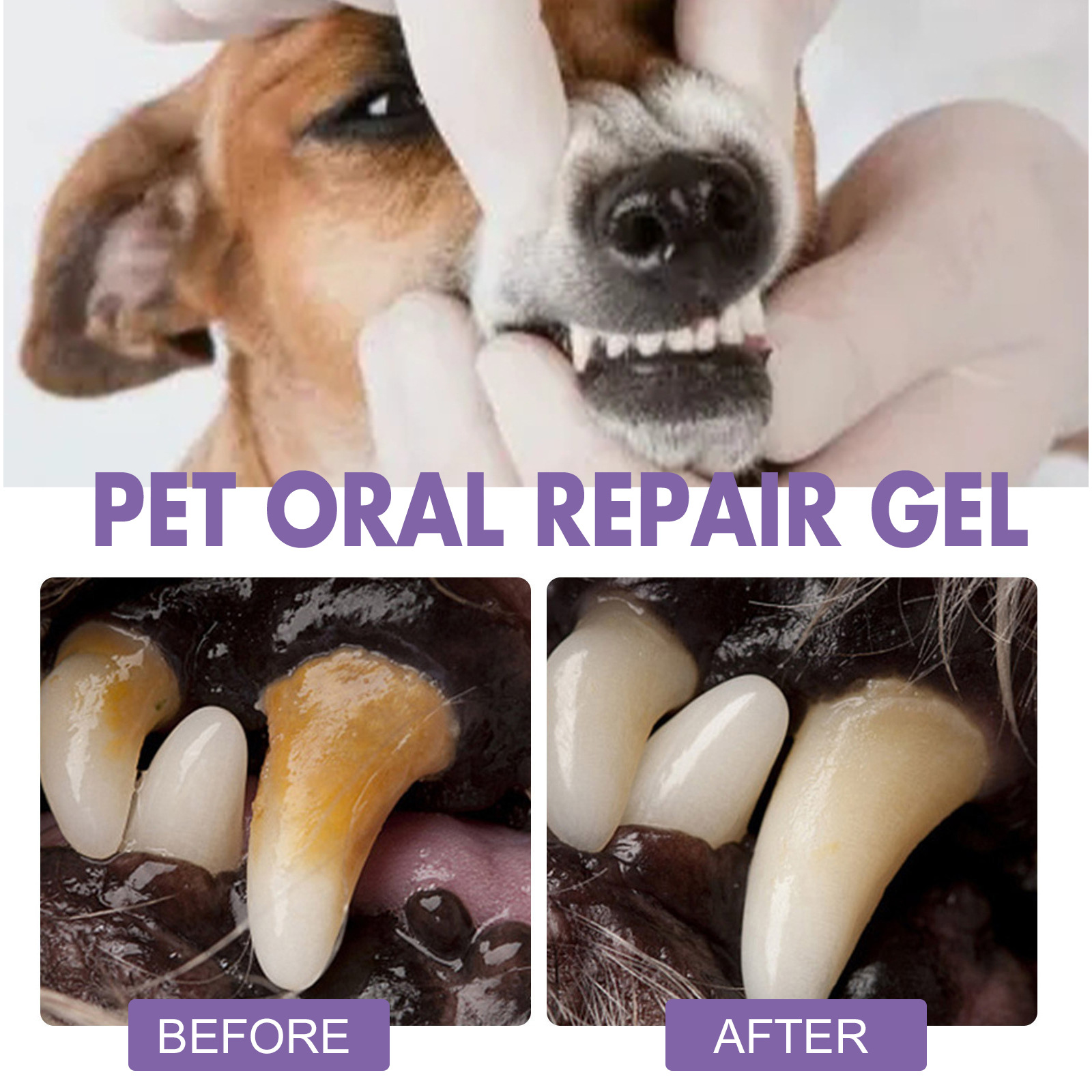 Gel perbaikan mulut hewan peli - Teeth Whitening Gel ulasan dan harga