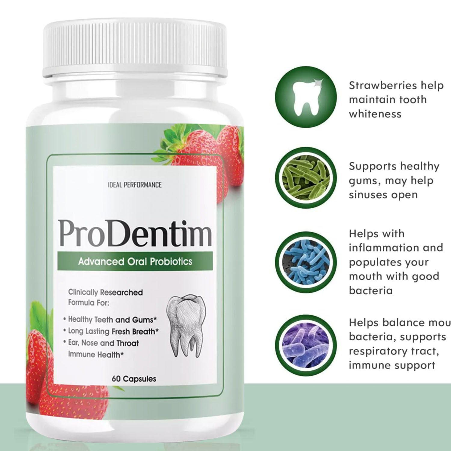 Probiotik Oral Canggih - Menye - Teeth Whitening Enzymes ulasan dan harga